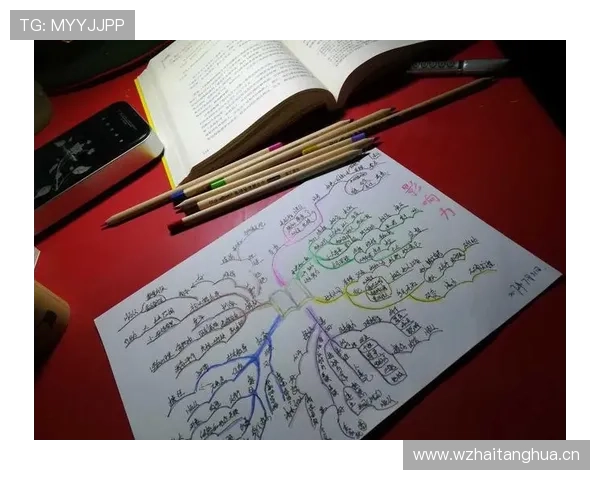 德布劳内组织核心的真实影响力与价值分析