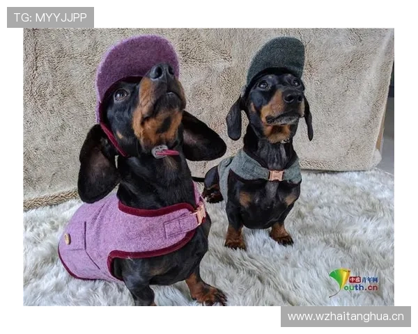 唐佳豪球场外的生活真不像明星，衣橱里全是地摊货？