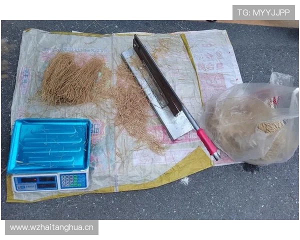 吕小军训练场上雷厉风行，下班后居然爱逛菜市场买便宜货？